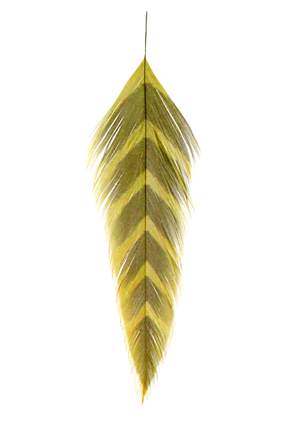 MFC Galloup's Fish Feathers-Arrowhead