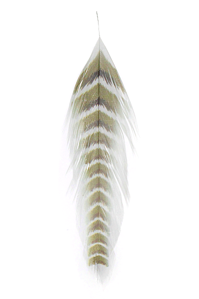 MFC Galloup's Fish Feathers- Grizzled