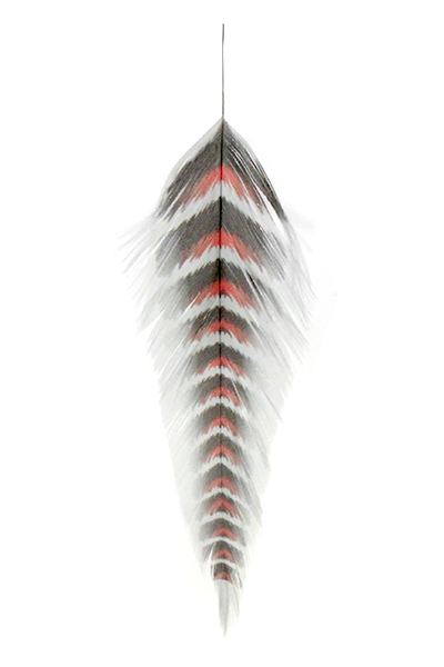 MFC Galloup's Fish Feathers- Grizzled