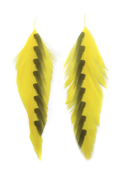 MFC Galloup's Fish Feathers- Shark Fin
