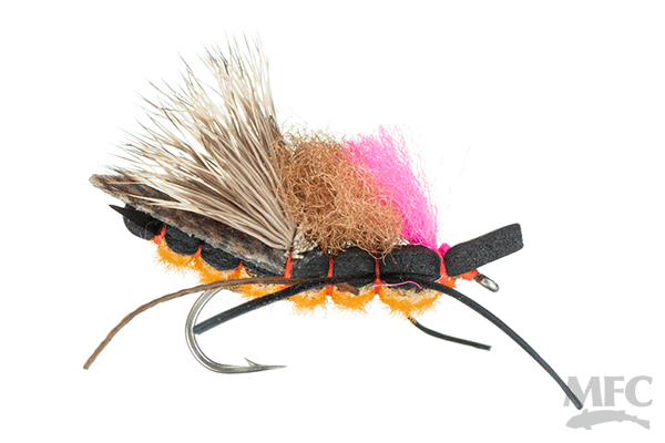 Christensen's Salmonfly (6-pack)