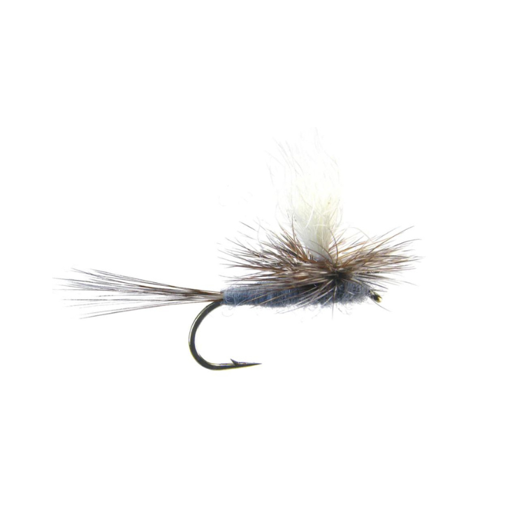 Dry Fly Assortment - 12 Pack