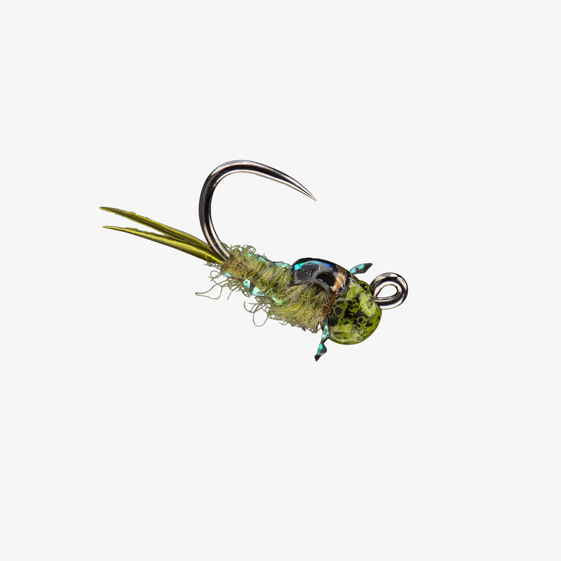 RIO's Bug Nugget TB (6-Pack)