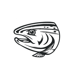 Grizzly Hackle