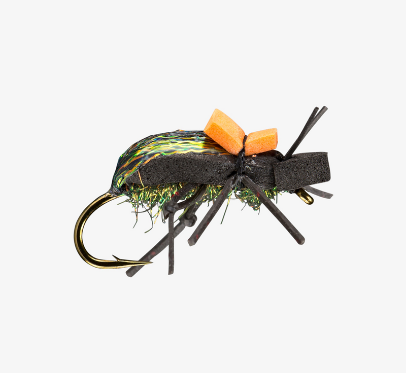 RIO's Ground Beetle (6-pack)