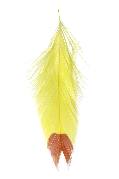 MFC Galloup's Fish Feathers-Fin Tip