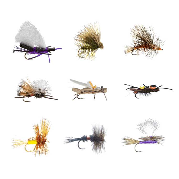 Montana Dry Fly Attractor Assortment- 24 Pack