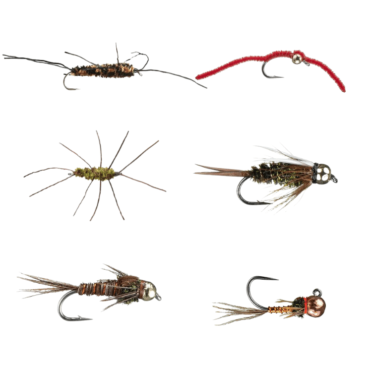 Essential Trout Nymph Fly Assortment - 12 Pack