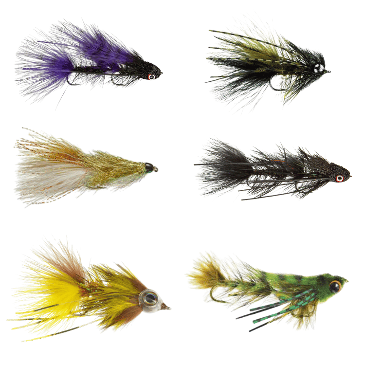 Essential Trout Streamer Fly Assortment - 12 Pack