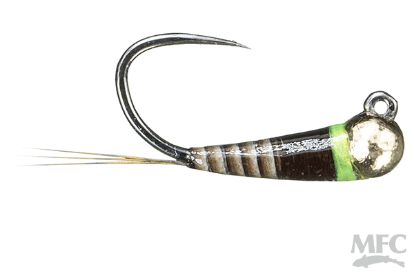 Spanish Bullet- PMD Quill (6-pack)