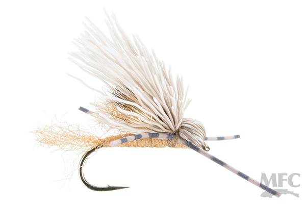 Galloup's Butch Caddis (6-pack)