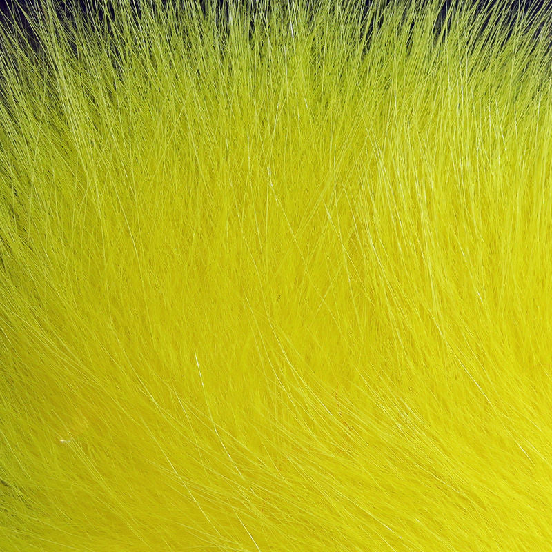 Arctic Fox Body Hair